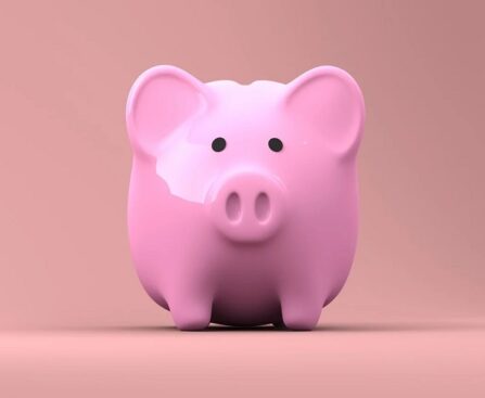 Loan Apps